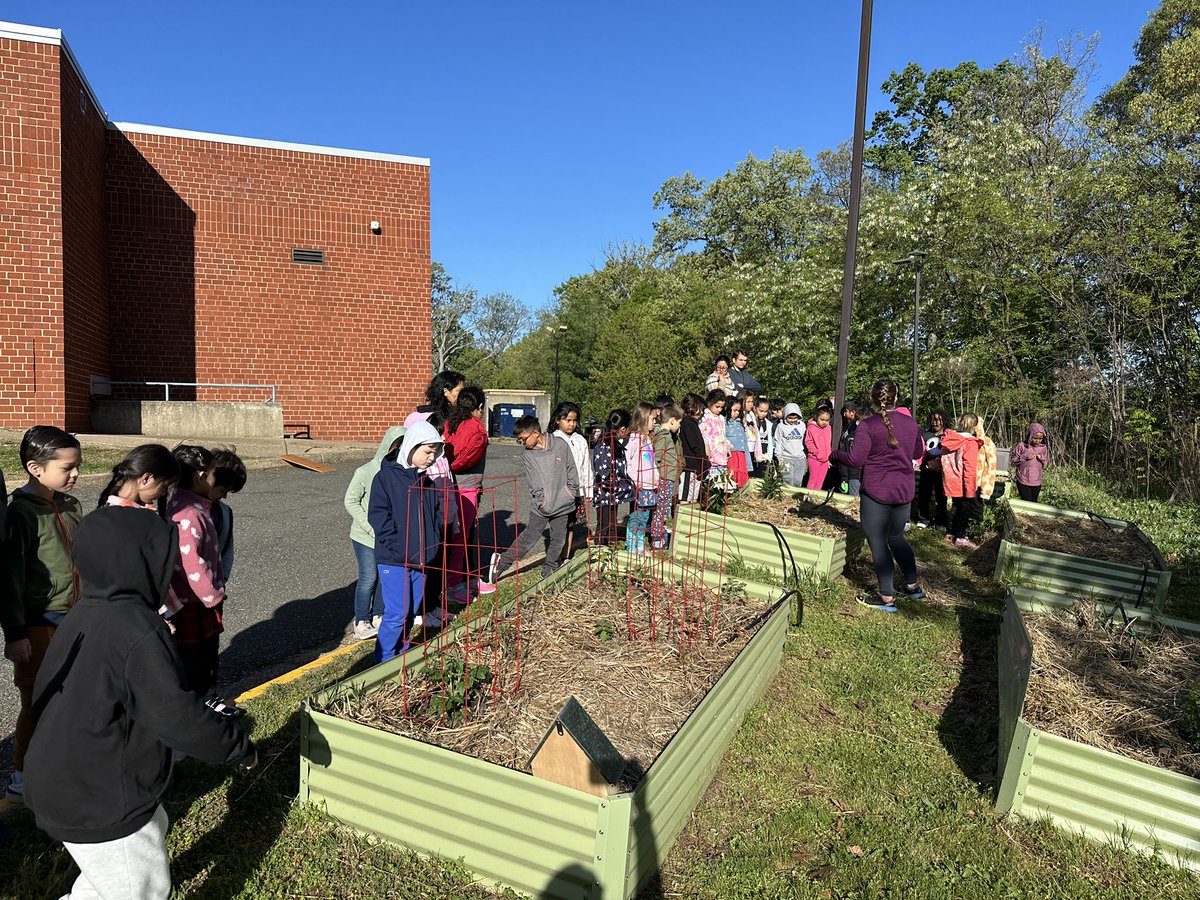 So fun to spend the start of #EarthDay in the @RandolphStars school garden as we kicked off our Unit of Inquiry “Sharing the Planet”!🌱🫛🌳 Big thanks to @RachelGunaward1 for the engaging lesson! @RandolphIBStars @APSscience #FunInFirst #APSisAwesome #APSGreen