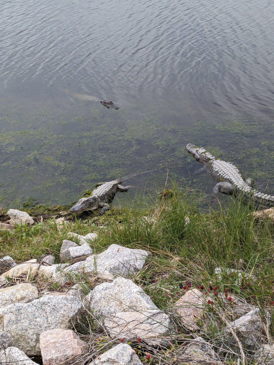 Celebrating #EarthDay with #SCStateParks