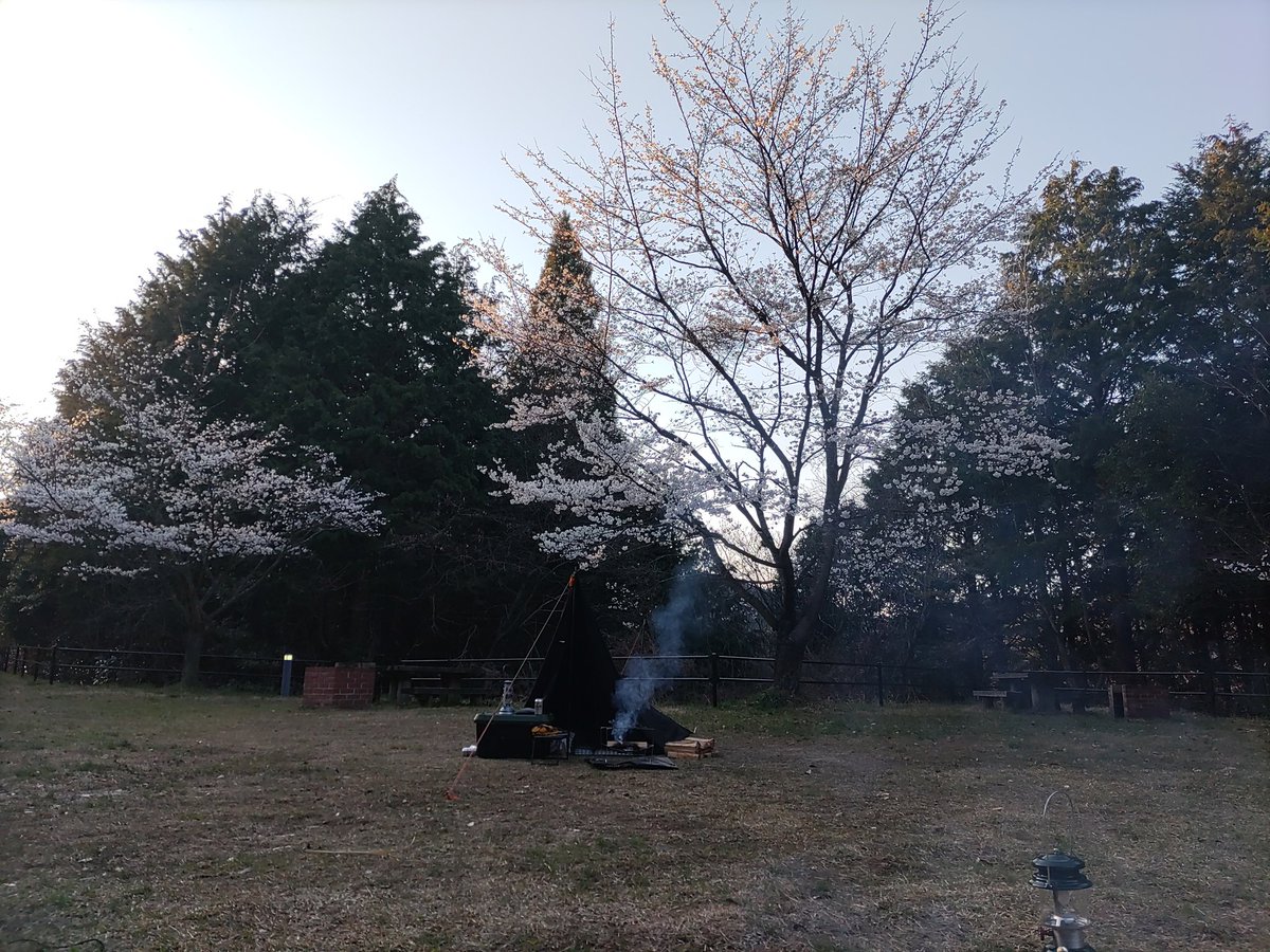 ha_mi6955's tweet photo. 4月初めのお花見キャンプ
天気よし
桜よし
携帯電波ギリ https://t.co/L1KunR2nGG