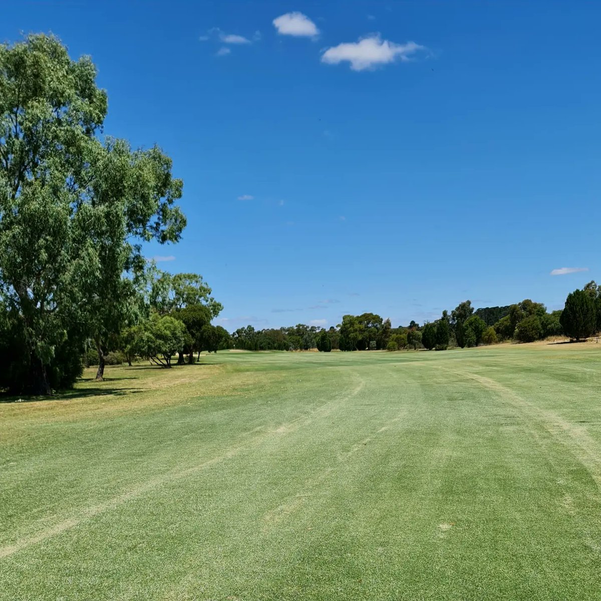 golfroadtrips's tweet photo. The Wimmera Golf Trail Podcast is now on YouTube https://t.co/BVtScpiFWe 
Includes photos from the recent visit to the Wimmera Golf Trail.
#bestgolftrips #regionalgolf #golftravel #roadtrip https://t.co/RE7MNaE2Ez