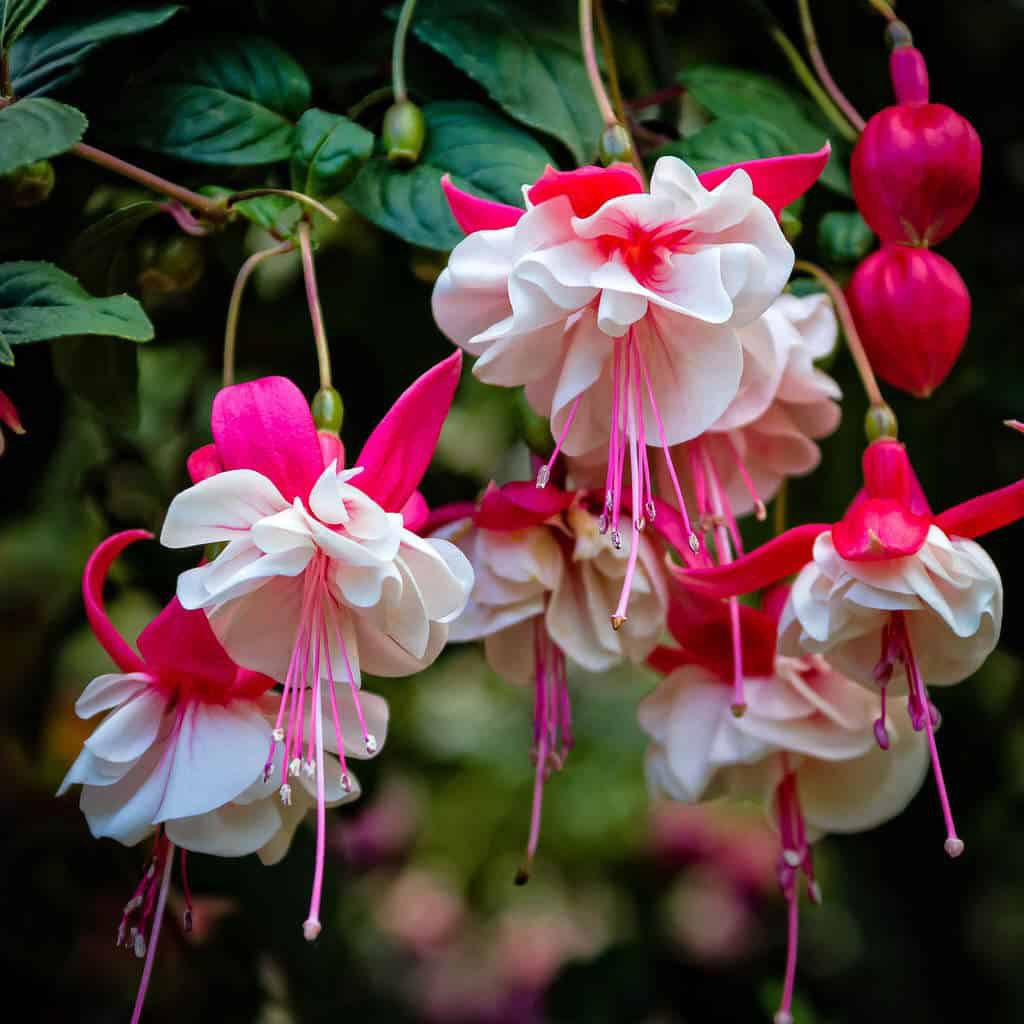 Thanh Hằng Nguyễn Thị tweet media