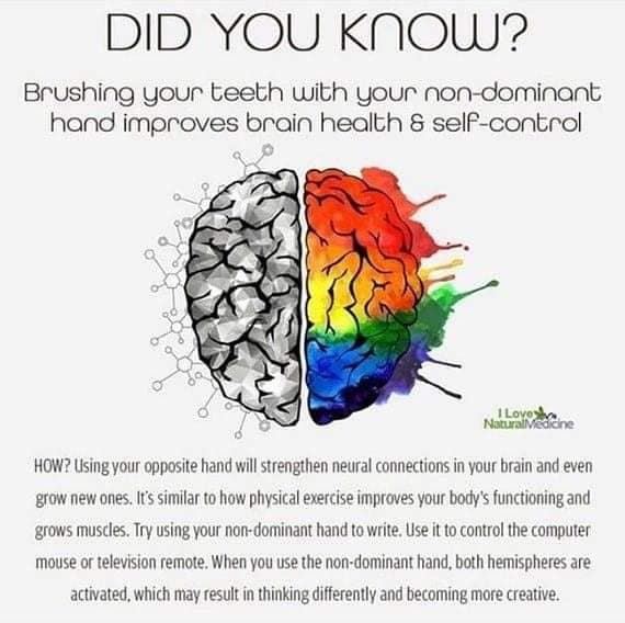 #didyouknow #brushingyourteeth #brainhealth #selfcontrol #neuralconnections #physicalexercise #bodyfunction #musclegrowth #write #computermouse #televisionremote #creative
