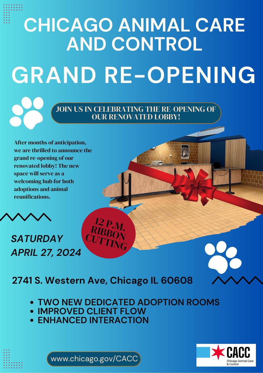 Our lobby is opening again, after the longest 9 months ever!!! Come see our brand new spacious lobby, and adopt a furry baby while you’re here! ❤️ #chicagoacc