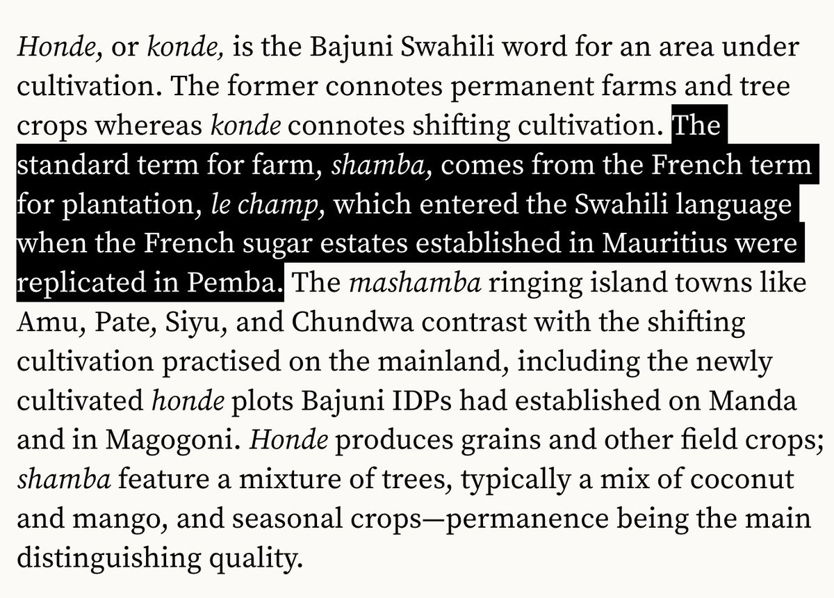 Fascinated by the etymology of 'shamba,' one of many insightful observations in this long read about life on the Kenyan coast by @Pablo_Sonara debunk.media/quarterly/mago…