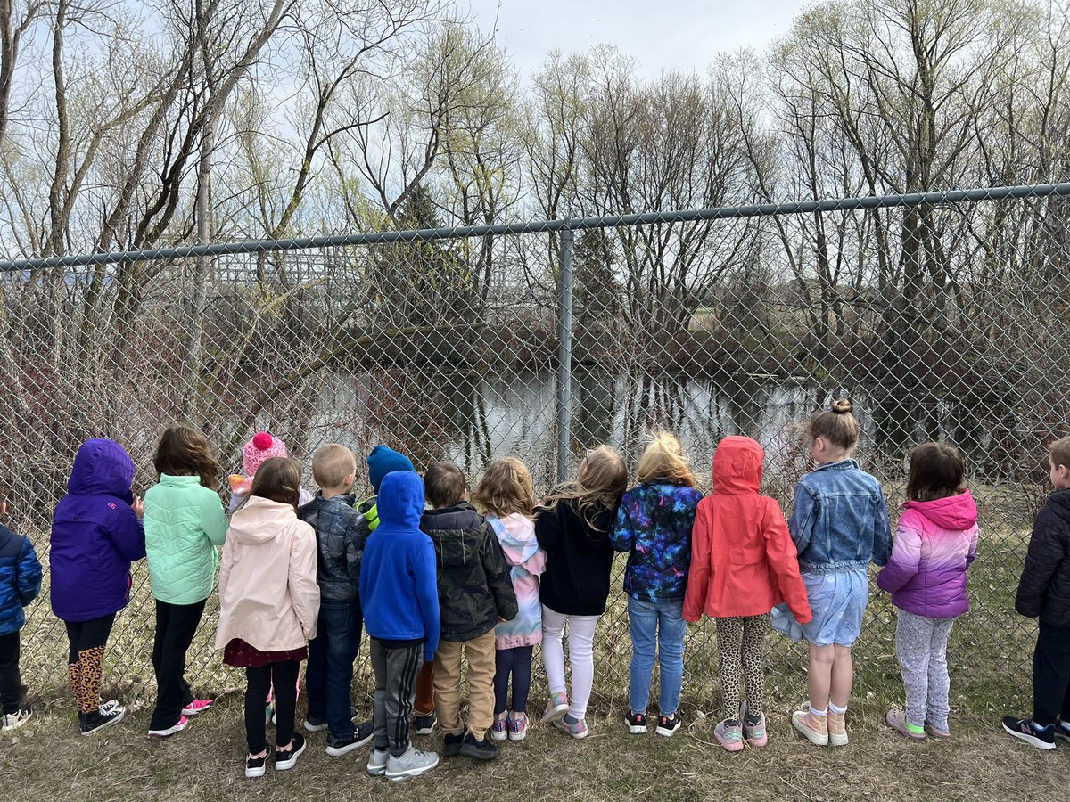 🌳🌲🦆🐸We went against the wind💨today and explored our natural environment for living things!🐸🦆🌲🌳<a href="/KMElem/">KM Elementary School</a> <a href="/PLTWorg/">Project Lead The Way</a>