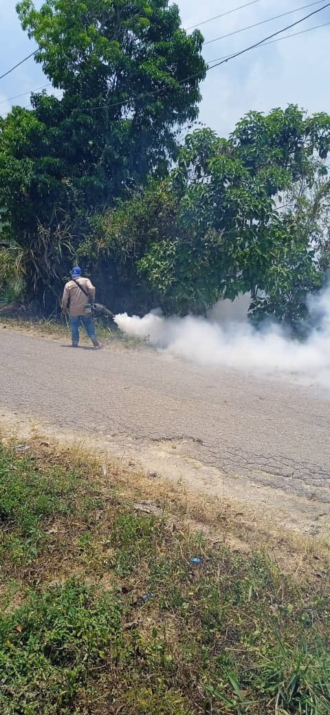 Nuestro equipo llevó a cabo labores de fumigación en el sector Los Lanos en #Turgua para mantener nuestras calles libres de plagas. 🐜🌿 Estamos comprometidos con la salud y el bienestar de nuestros hatillanos. #SeguimosTrabajando
#CuidemosElHatillo