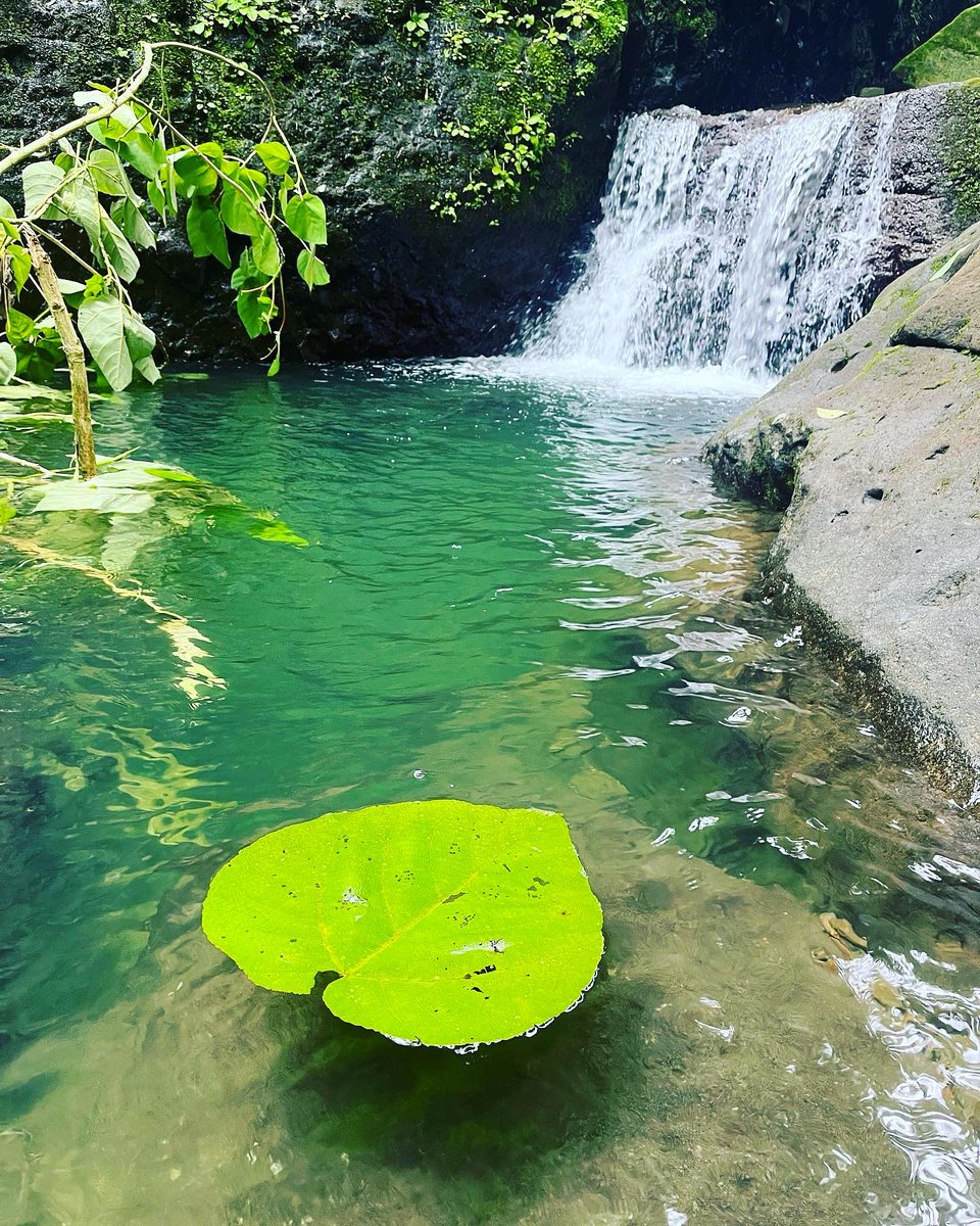 En ce #JourDeLaTerre une photo que vous avez prise qui montre que vous l’avez à 💚