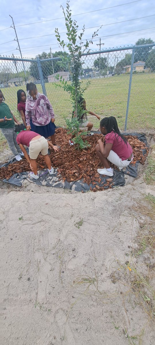 LockhartMagnet's tweet photo. #EarthDay2024 from HS and 3rd grades planting a tree, 2nd grade collecting litter from the field, to 5th grade harvesting the Hydroponics Gardens. #SetSailforSuccess #WeareMagnet https://t.co/hTkMhMg8B6