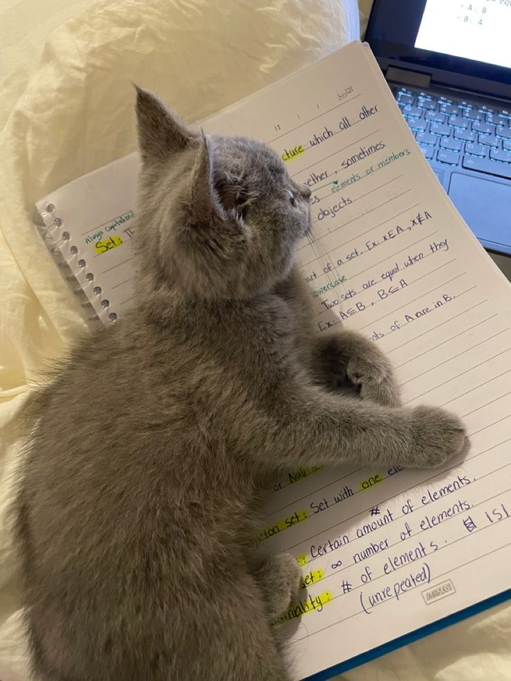 lolagilbert_'s tweet photo. que ganas de dejar de respirar https://t.co/tvTZJbO63J