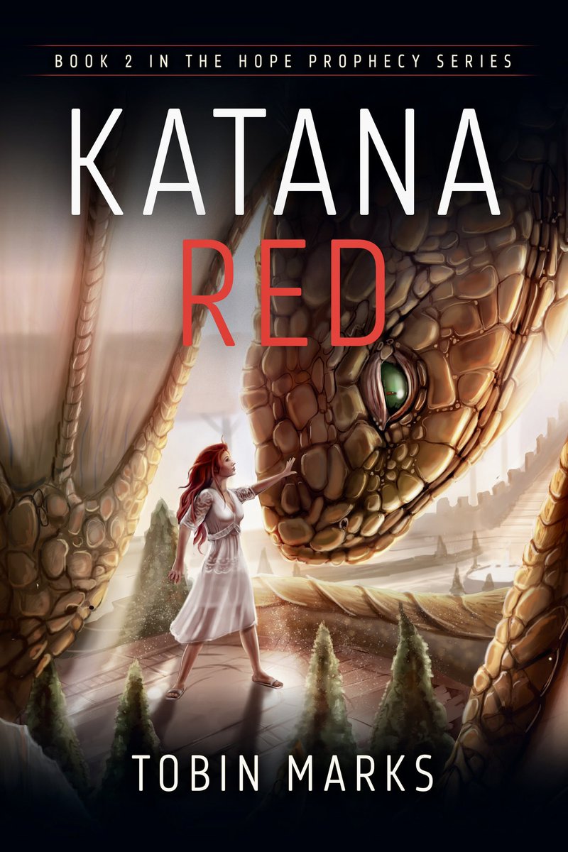 Thank you so much, Saturday Dad for your wonderful review! Food for thought, but you can find out what happened to Alex and Baseball and Rox and Raj and Gunnar in the first third of book two: Katana Red. Thanks again!