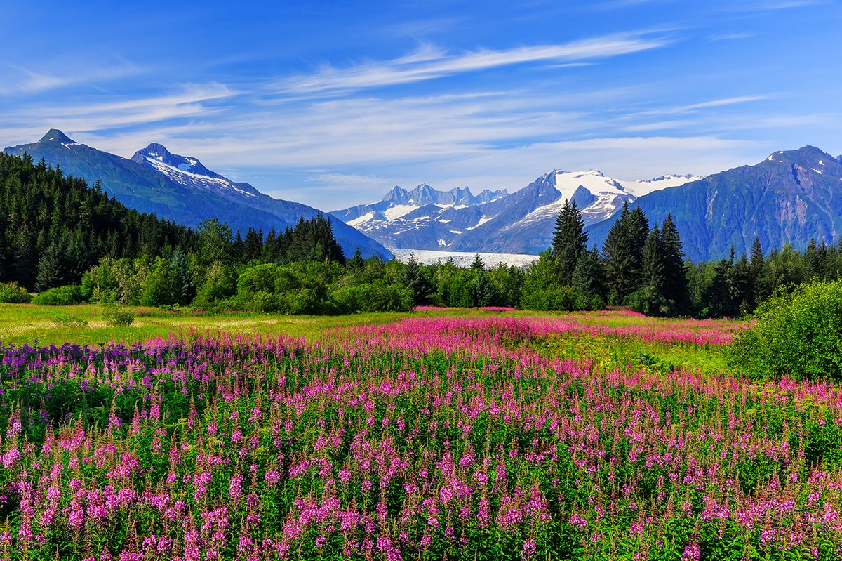 Plan your perfect Alaskan adventure with our guide on navigating its vast wilderness, stunning coastlines, and diverse ecosystems. #Alaska #AdventureTravel ow.ly/RiIh50RjTTH
