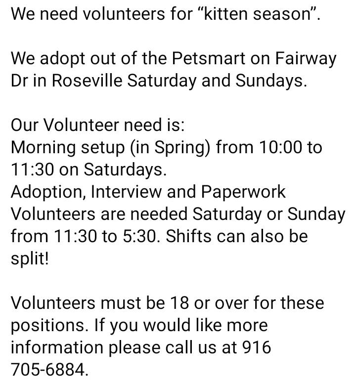 We need volunteers for “kitten season”!
We adopt out of the Petsmart on Fairway Dr in Roseville Saturday and Sundays.
Read about our needs in the image.
#adoptdontshop #kittens #petsmart1184 #rosevilleca #volunteersneeded #volunteeringisrewarding #volunteers