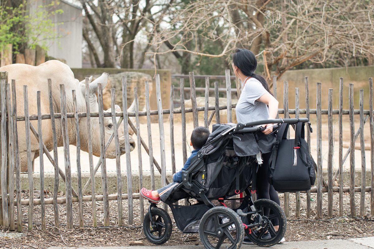 Learn, stroll or both with upcoming events at the Louisville Zoo! Advance registration required for events listed below: 4/24 & 4/26: Sippy Cup Strolls (Topic: Zoo Favorites) 4/24: Conservation and Conversations — Virtual (Topic: Environmental Crime) louisvillezoo.org/events