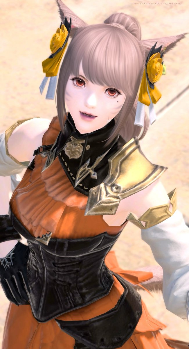 (｡･ө･｡) ｵﾊｺﾞﾏ ☀ 🧡 #おはミコ #FF14