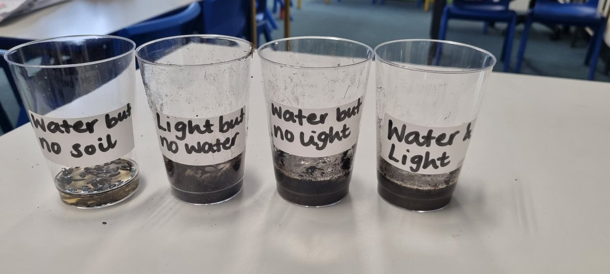 3Lime_woodside tweet media