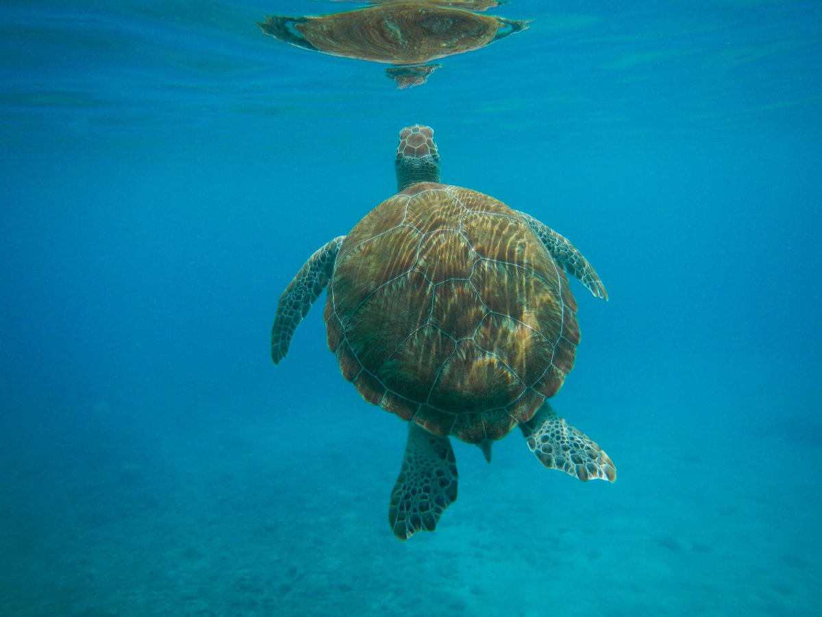 Larry Watkins 🍁 tweet media