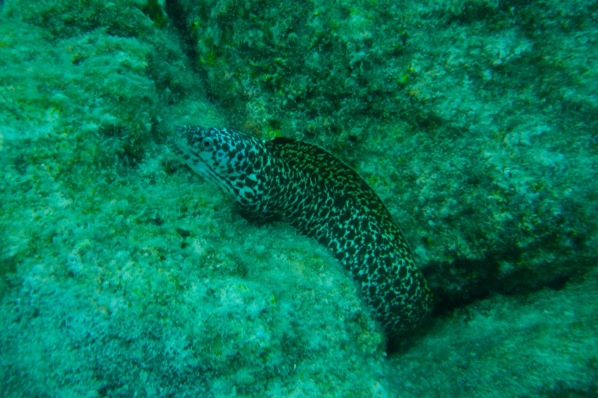 Larry Watkins 🍁 tweet media