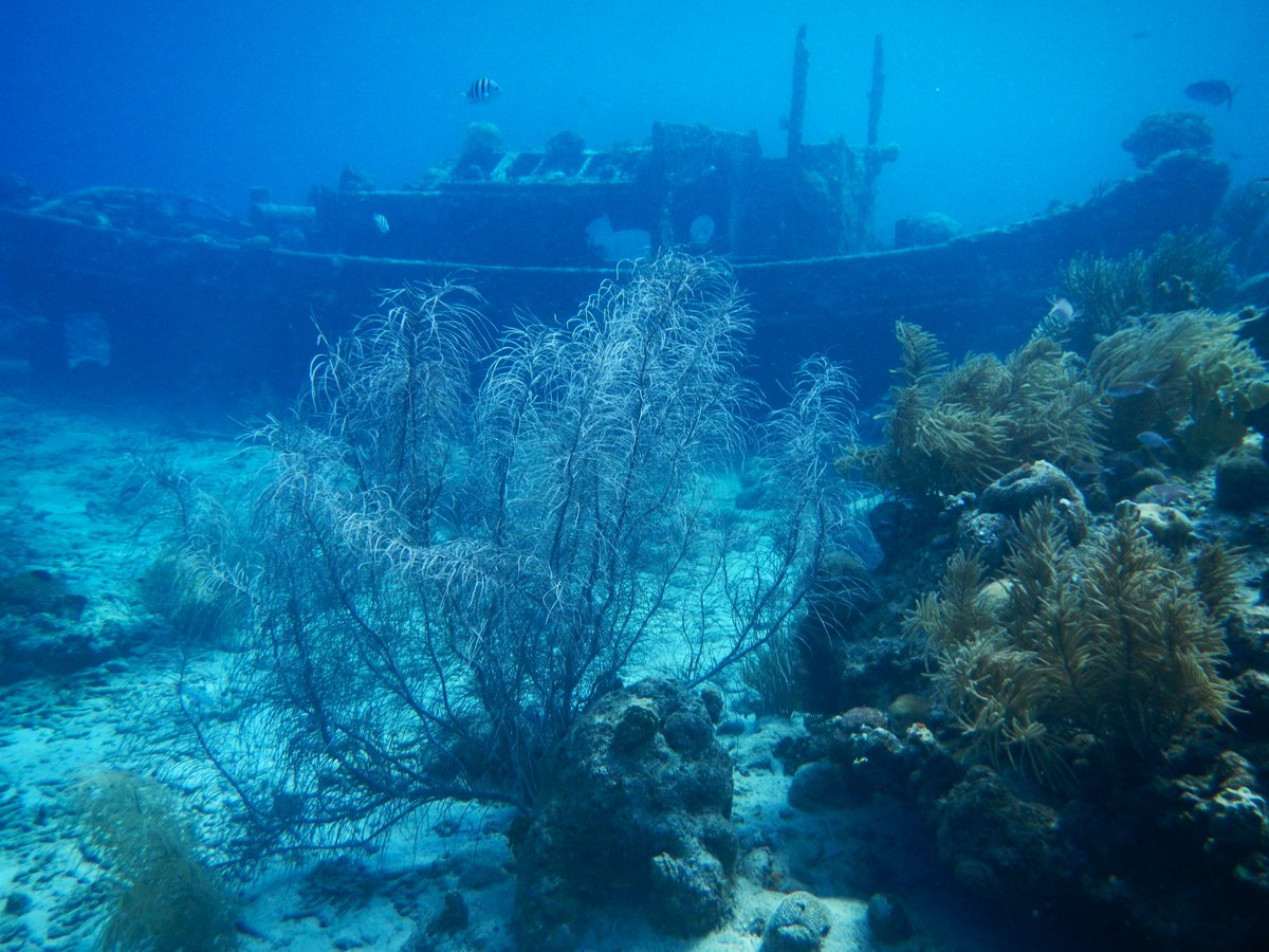 Larry Watkins 🍁 tweet media