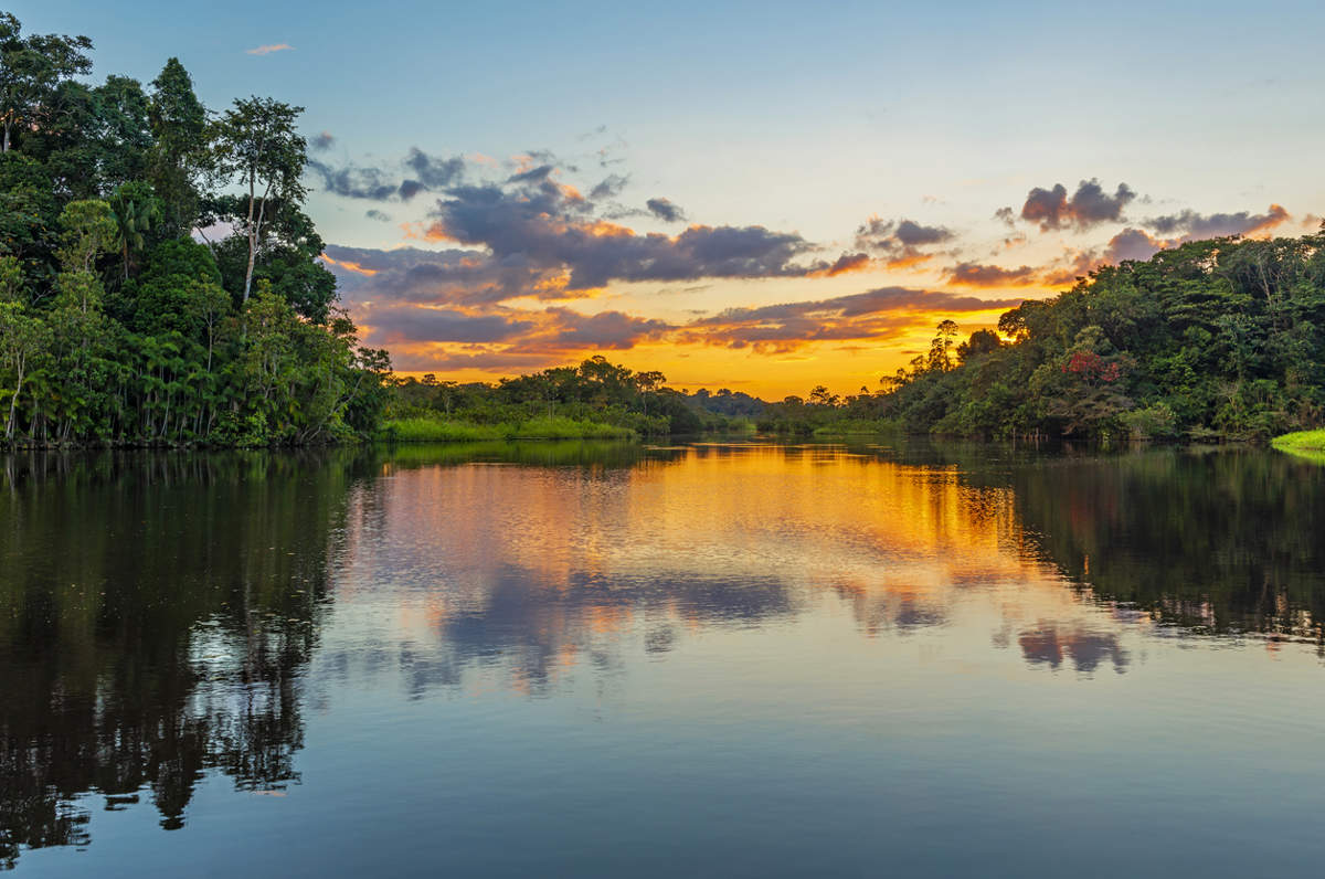 🇵🇪| Perú fue elegido como mejor destino internacional 2024 en National Geographic.

Perú cuenta con cuatro hábitats bien diversos: costa, sierra, selva y desierto. Entre los lugares destacados están Cusco, Arequipa y la Amazonía.

'Tras competir con Egipto, Colombia, Marruecos y