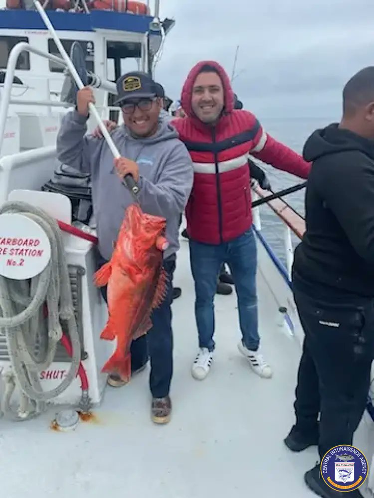 Freelance 3/4 Day Wrap Up Fish Report, Greg is Live Mon Apr 22, 2024 976-tuna.com/posts/234727 #freelance #daveyslocker #rockfish #fish #fishing #fishingtrip #oceanfishing #socalfishing #fishingtrip #goodtimes #livebait #saltlife #saltwater #tasty #thetugisthedrug