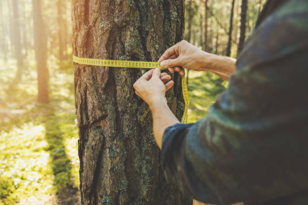 Regularly inspect trees for signs of disease, pest infestation, or structural issues. Hire certified arborists for tree pruning, trimming, and removal to ensure safety and expertise. #TreeCare