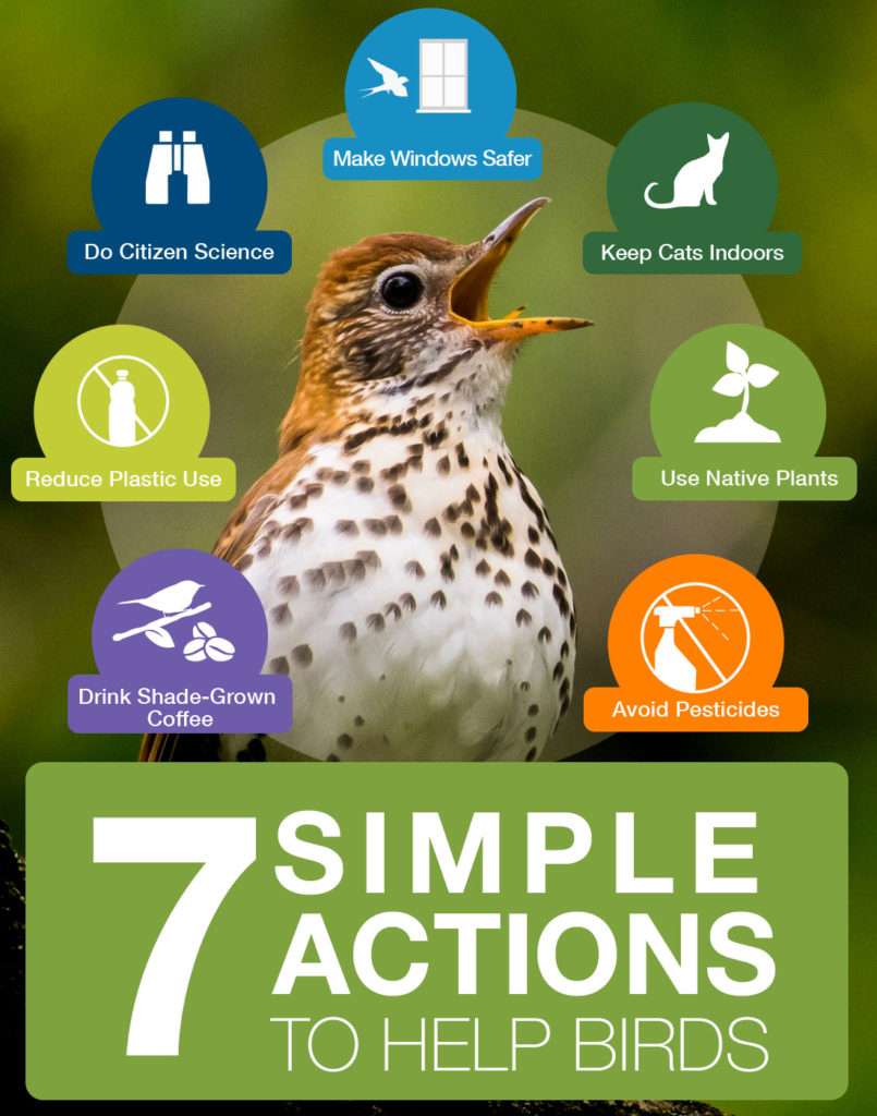 Denver Audubon tweet media