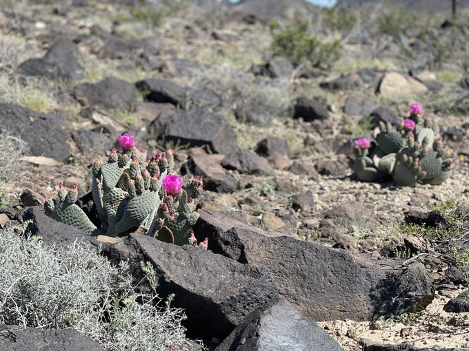 Artsy fartsy and stuff. I love this hike ❤️🥰☀️🕶🎰 one of the best views of the strip in my opinion. 😇<a href="/tag/vegas"class="tags"><span>#vegas</span></a><a href="/tag/amazing"class="tags"><span>#amazing</span></a><a href="/tag/lovelife"class="tags"><span>#lovelife</span></a><a href="/tag/vegaslife"class="tags"><span>#vegaslife</span></a><a href="/tag/bossbab"class="tags"><span>#bossbab</span></a>