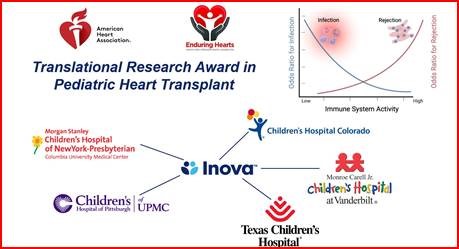 Excited that @PalakShahMD, @JasonGoldbergMD were awarded nearly $1.4 million @American_Heart/@EnduringHearts grant to develop test to optimize immunosuppression meds -- improve outcomes in pediatric heart transplant. @ISHVnews leads multicenter consortium bit.ly/3JtR2as