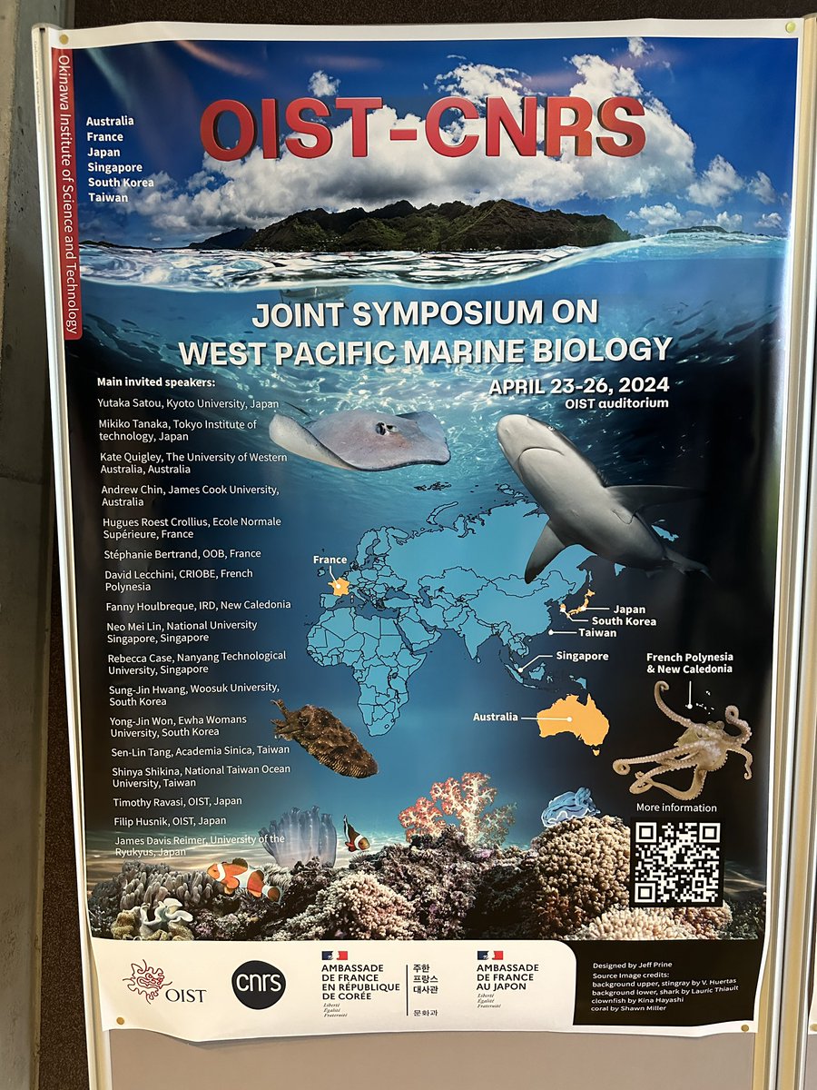 It’s happening! <a href="/OISTedu/">OIST</a> <a href="/CNRS/">CNRS 🌍</a> Joint Symposium on West Pacific Marine Biology. 
🔗 groups.oist.jp/oist-cnrs-symp…
