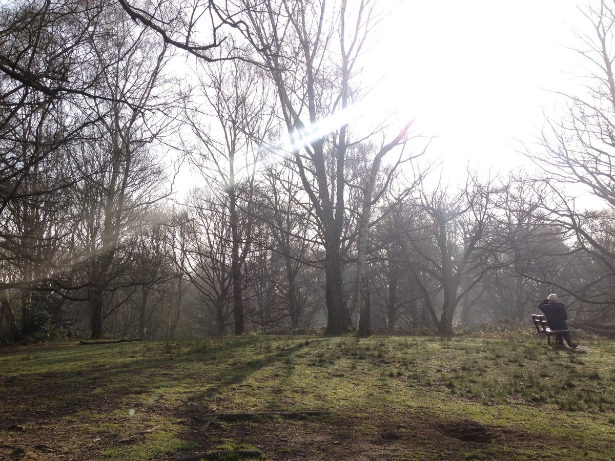 .@taylorswift13’s #Fortnight is a quintessentially north London song. Like, if you’re as talented as Taylor Swift you are legally obliged to write that song, with that mood, after wandering around Hampstead Heath in February. From my own wanders there.