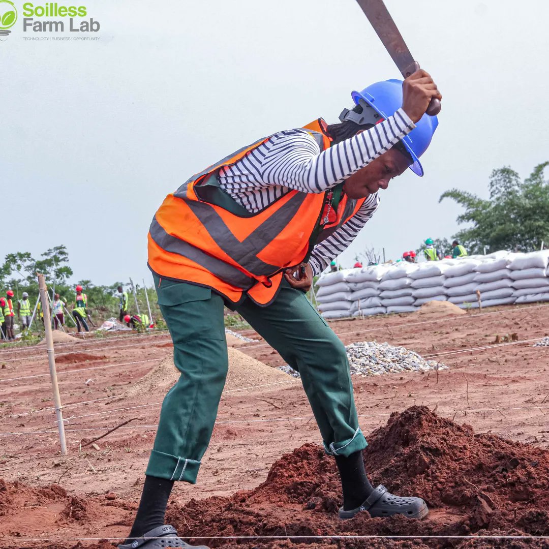 Weekly Update: Greenhouse Construction Progress! Pole installation for GH 1 ☑️ Structural framework completed ☑️ Until the job is done, we keep going! #EYiA #EYiAElites #GreenhouseConstruction #WeeklyUpdate #ProgressReport #TomilayoAmzat