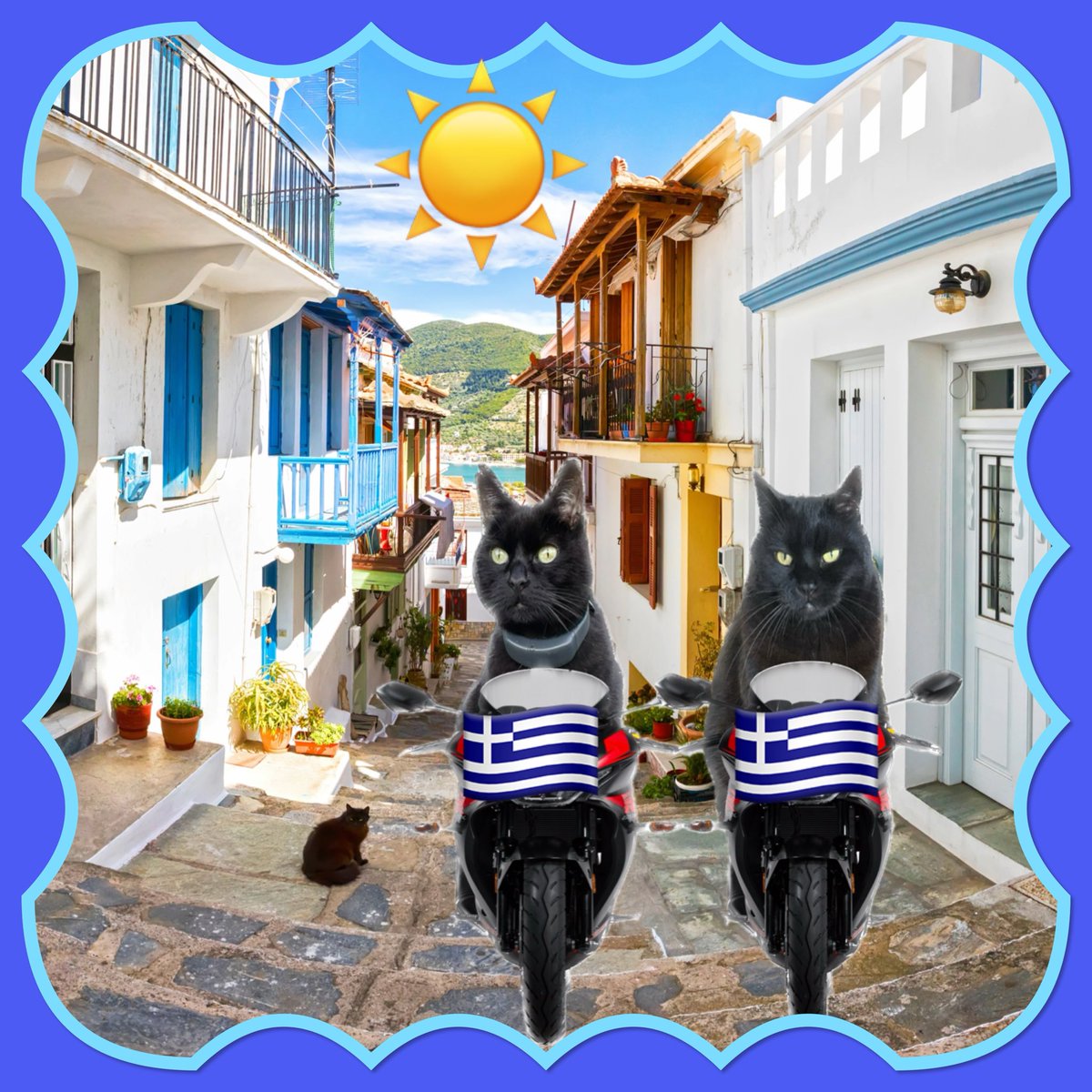 #Hedgewatch #theruffriderz #TwoGreekBrothers #PostcardFromKos @MunchPudding 💙🇬🇷💙Munch, today is the day! We are off to Greece again for a secret mission! Let’s go Bro! 💙🇬🇷💙