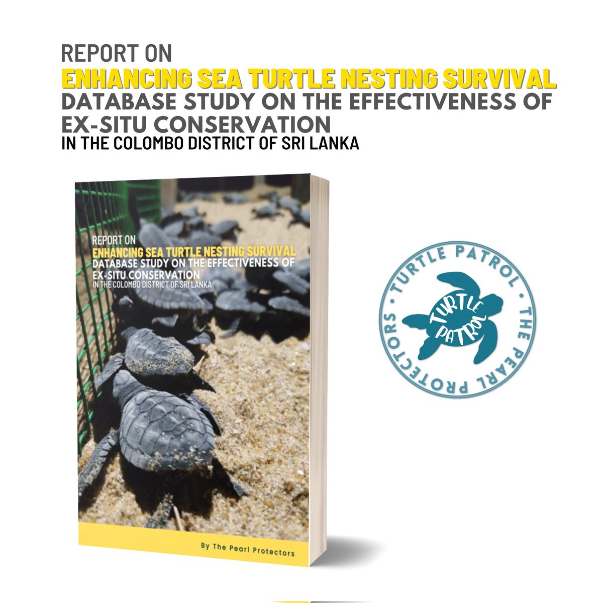 New Publication Announcement 📚 Report on Enhancing Sea Turtle Nesting Survival Database Study on the Effectiveness of Ex-situ Conservation in the Colombo District of Sri Lanka, is now available for public viewing through our website pearlprotectors.org/publications #TurtlePatrol #report