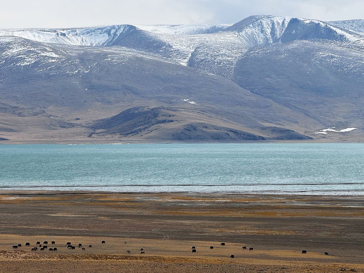 解密 甫仄@wu77_77 的 推特 诱惑 未曾 公开 内容 一面
