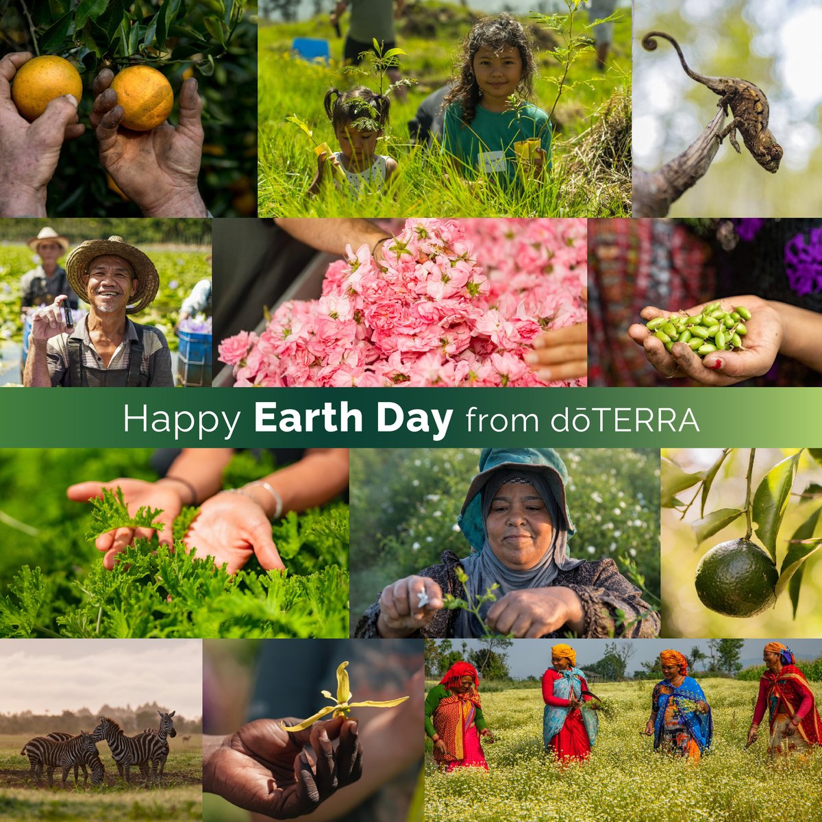 Happy Earth Day! Let’s celebrate by committing to sustainable practices and protecting our planet. Together, we can make a difference! #life #makeadifference