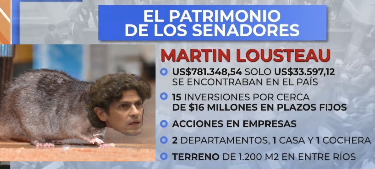 Ejemplo de 🐀 perfecto! 👌 Martin Lousteau tiene 800 mil dólares de los cuales solo 30 están en 🇦🇷. 15 plazos fijos x 16 millones, acciones de empresas, 2 departamentos, una casa y un terreno de 1200 metros cuadrados. Y votó a favor de subirse el sueldo xq no le alcanza.🤌