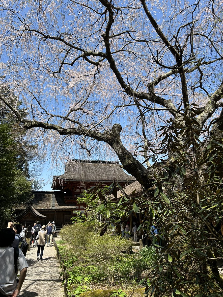 令和6年4月14日
#吉野水分神社
#世界遺産
#吉野桜
#御朱印
#御朱印帳