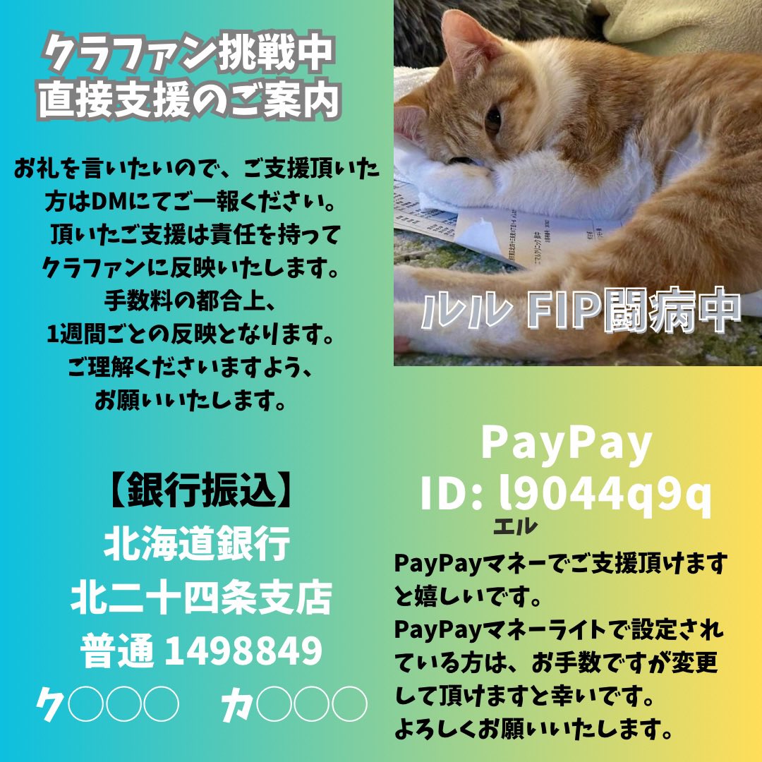 😿助けて下さい！難病 #FIP - 猫伝染性腹膜炎-と闘うルル@M_H_Re_Ru にご支援をお願いいたします🙇‍♀️🙇‍♀️ 🔥あと20日で、約67万円はの協力がないと支援が届きません😭 ひとりでも多くの方に広めてください! #クラウドファンディング #READYFOR readyfor.jp/projects/01131… @READYFOR_cfより