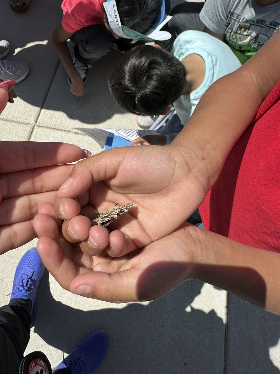 In honor of Earth Day, our 3rd grade Panthers released their butterflies! 🦋❤️🐾 #PAWsomePanthers #EarthDay2024