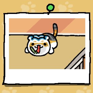 #ねこあつめ
今日も一日