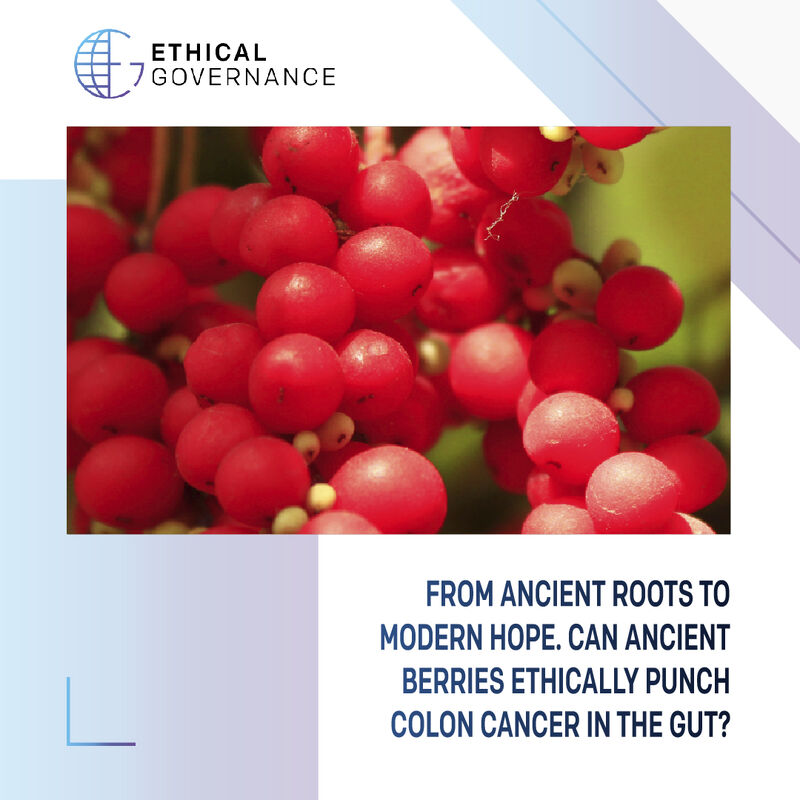 A fascinating study showing the potential of Schisandrin B, a compound found in the five-flavor berry or magnolia berry, commonly used in Chinese medicine 🍒 The research highlights its remarkable effectiveness against late-stage colon cancer cells. 

#medicalresearch #healthtech