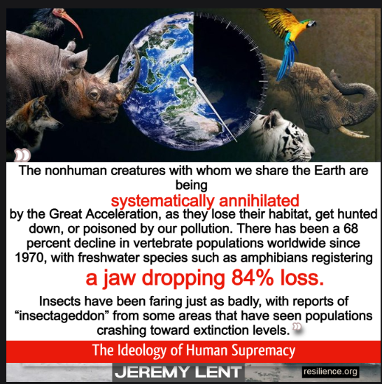 'The species we view as iconic of nature’s magnificence, such as lions, tigers, elephants, and whales—now barely eking out an existence—were once prolific around the world.' Jeremy Lent #ClimateCrisis #EarthDay2024 The Ideology of Human Supremacy ➡️resilience.org/stories/2021-0…