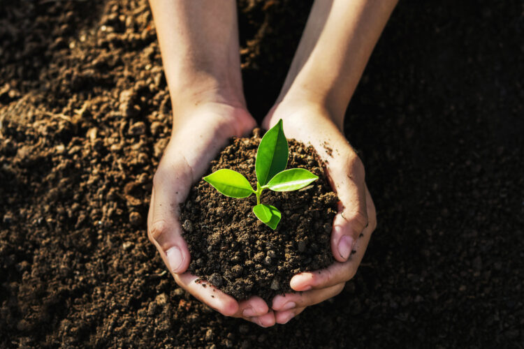 Why is Earth Day celebrated? Why is Earth Day important? We reflect on the years since the first Earth Day and how far we have yet to go to clean up our environment and lighten our impact on the earth. motherearthnews.com/public-access/…