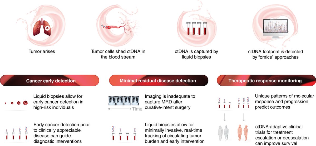 Read a Special Commentary from the April issue— Pushing the Boundaries of Liquid Biopsies for Early Precision Intervention, by @ValsamoA and @velculescu. bit.ly/4d6lODZ @hopkinskimmel