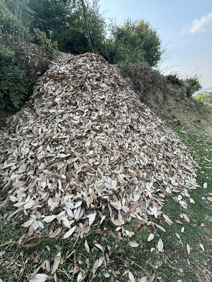 SethiRuchikaT's tweet photo. A simple reminder on #EarthDay, Nature gives in abundance,just use it intelligently &amp;with care.Give back 2 Naturewhat you receive fm #Her

#cycleoflife
#cycleofnature

#HorticultureWaste
Process waste in an environmentally friendly manner
Dontaburn 
@ulbharyana @SwachhBharatGov https://t.co/j3pCldhjNS