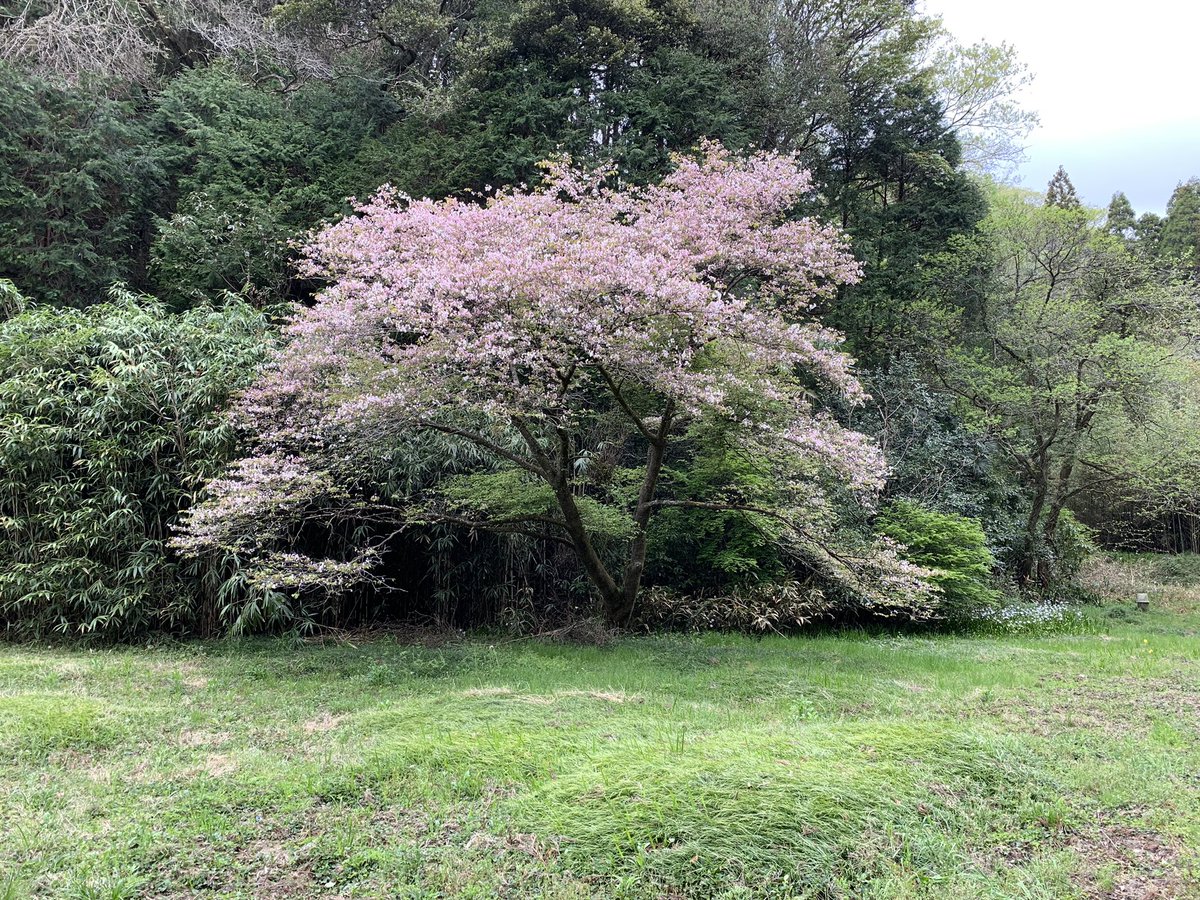 加納作平の碑
炭（スミ）の道