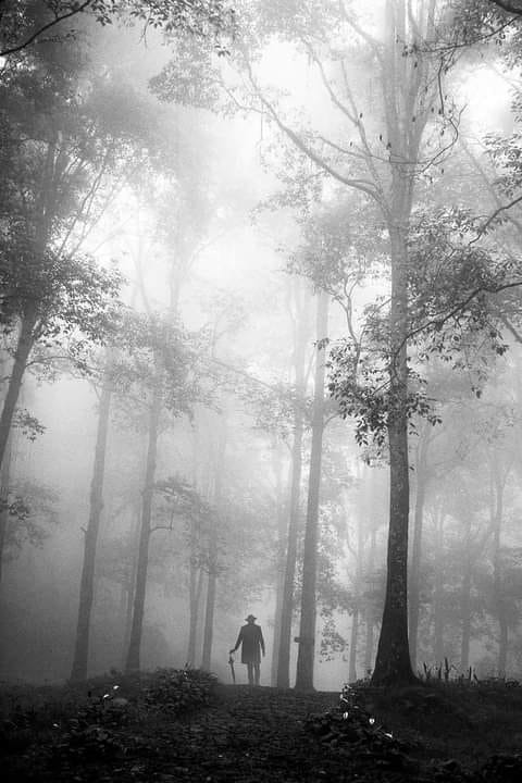 “Salimos del presente para caer en el futuro desconocido, pero sin olvidar el pasado. Nuestra alma está cruzada por el sedimento de los siglos'. 'Las palabras del regreso', María Zambrano 📷 Hengki Lee