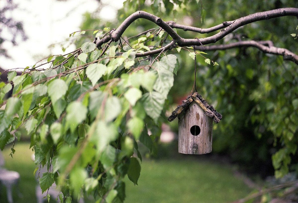 Do you like to enjoy the beautiful scenery in your backyard? At sunlitbackyardoasis.com we have everything to make your backyard more comfortable and relaxing! Shop now and create your own outdoor space!
#Backyardwildlife #Coszyliving #Backyardsenery #OutdoorOasis #PatioParadise