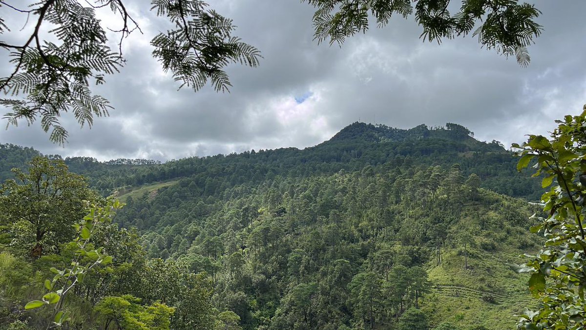 ONUHonduras's tweet photo. Como #NacionesUnidas en 🇭🇳 Reafirmamos nuestro compromiso por la protección de los bosques y recursos de Honduras. 

Felicitamos a Honduras por este gran paso hacia la sostenibilidad y un futuro más saludable, seguro y diverso. 

#DíaDeLaMadreTierra https://t.co/4XQxQxQi0i