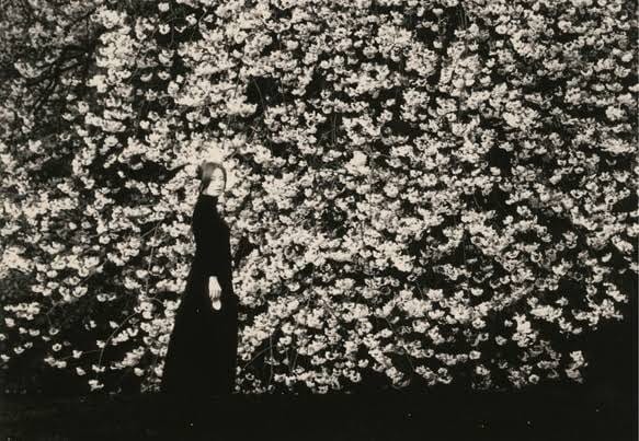 'Tu silencio era un silencio fácil y sin viento, como el silencio de las nubes o de las plantas. Todo silencio es el reconocimiento de un misterio. Muchas cosas en ti parecían misteriosas'. 'Sonidos', Vladimir Nabokov 📷 Masao Yamamoto